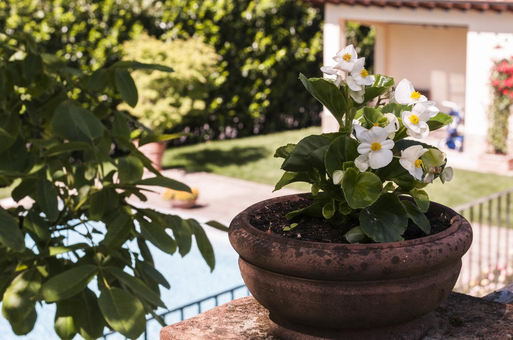 Bed & Breakfast Relais Victoria