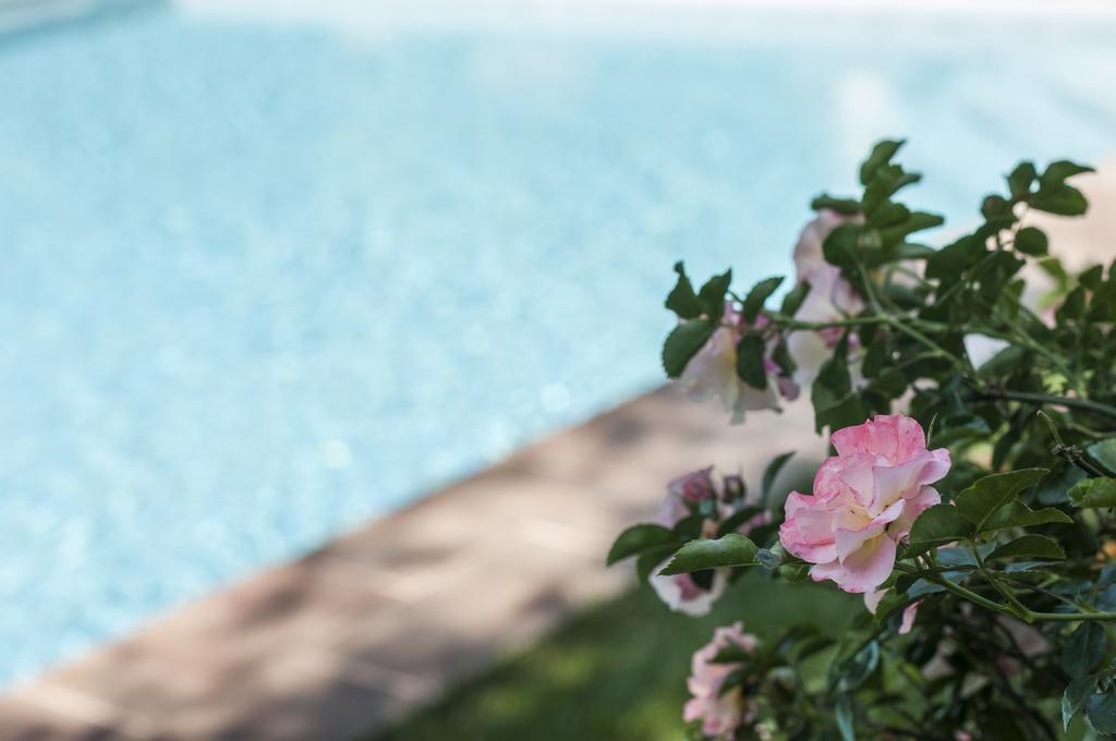 Bed & Breakfast Relais Victoria 3*